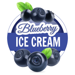 B.I.C (Blueberry Ice Cream) 60/120ml