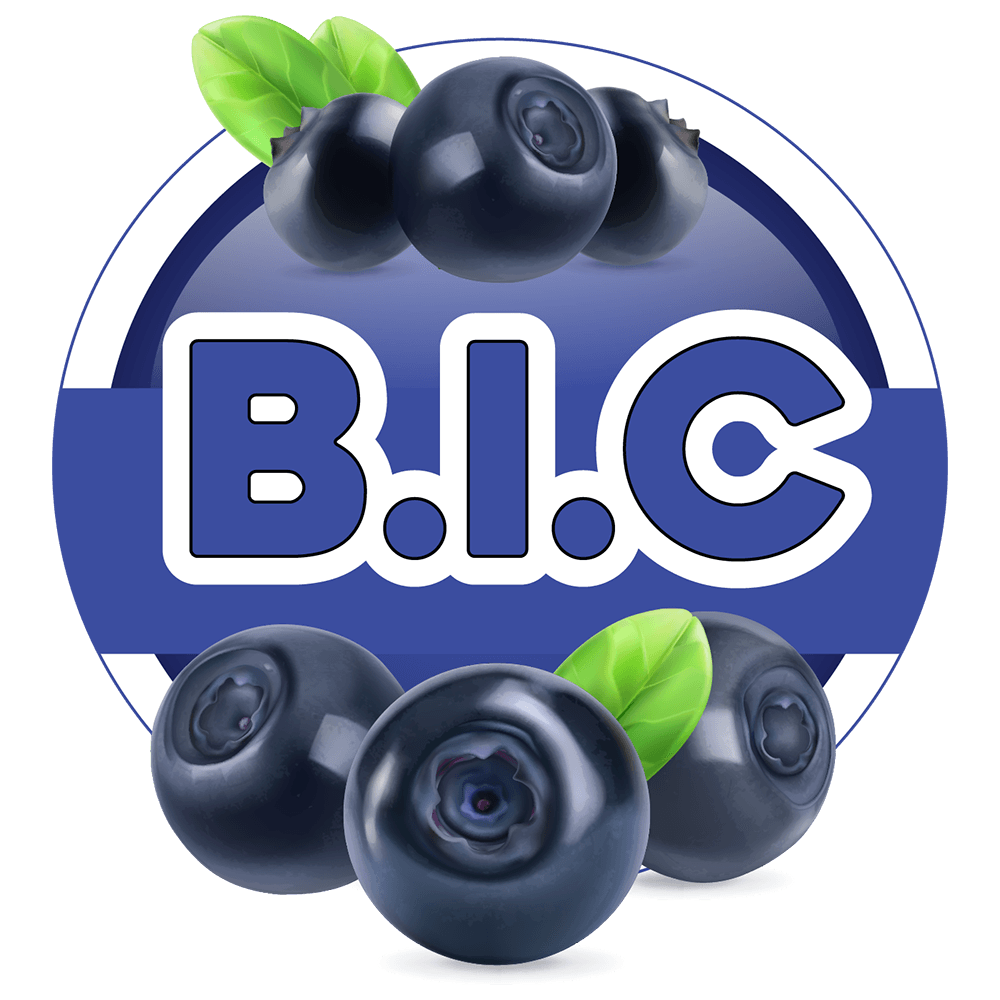 B.I.C (Blueberry IC) 60/120ml