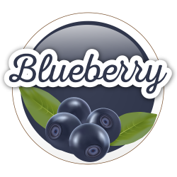 Blueberry 60/120ml Blueberry 60/120ml