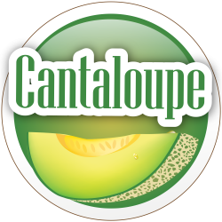Cantaloupe 60/120ml Cantaloupe 60/120ml