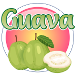 Guava 60/120ml Guava 60/120ml